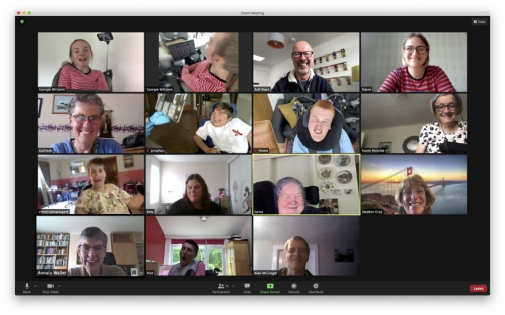 Screenshot of Zoom meeting with 15 members of STG